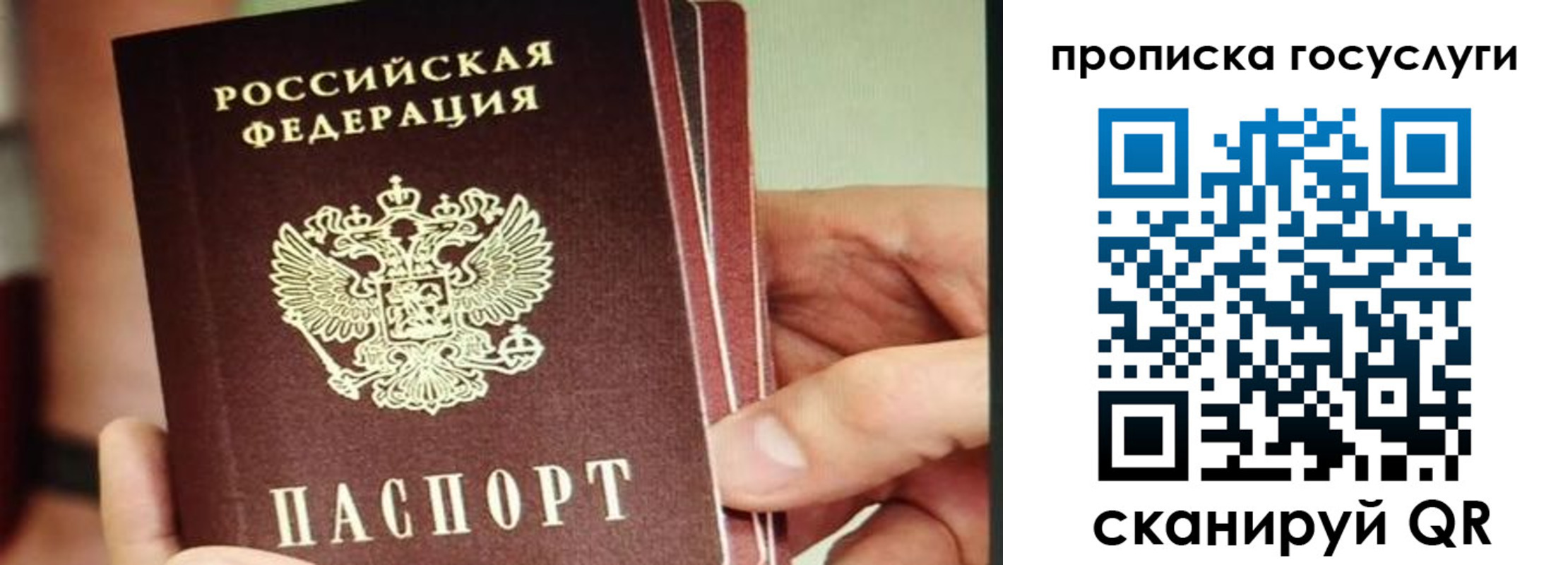 пропишу в квартире в Боре